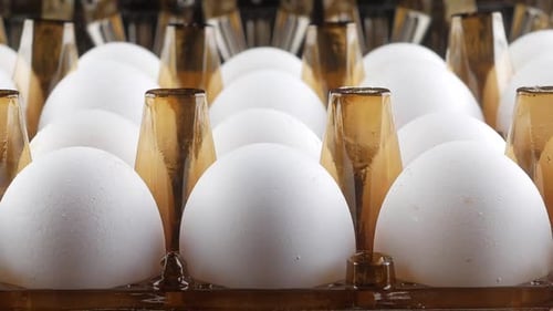 De cerca. Huevos de gallina en recipientes
