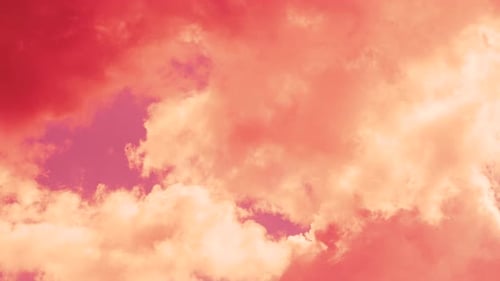 Pink Cumulus Clouds Flow Across the Sky