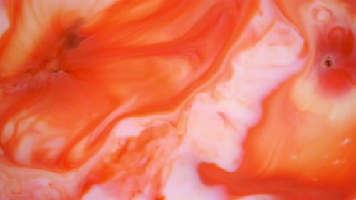 Footage. Ink in Water. Red and Orange Ink Reacting in Water Creating Abstract Background.