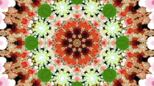 Fractal Kaleido Trip