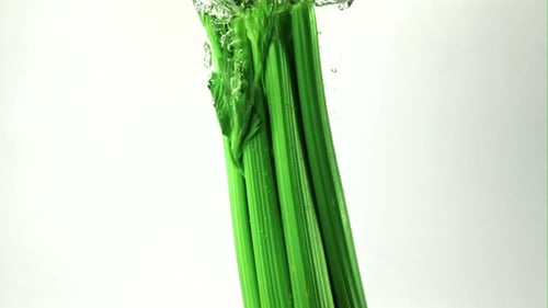Super Slow Motion Fresh Celery Falls Under the Water with Air Bubbles