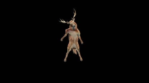 Funny Anthropomorphic Deer Standing and Dancing Animation
