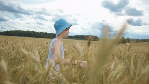 Happy Boy Running Across a Golden Wheat Field Against the Backdrop of Beautiful Clouds