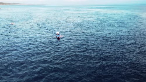 Zumbido volando alrededor de barcos en Nusa Penida