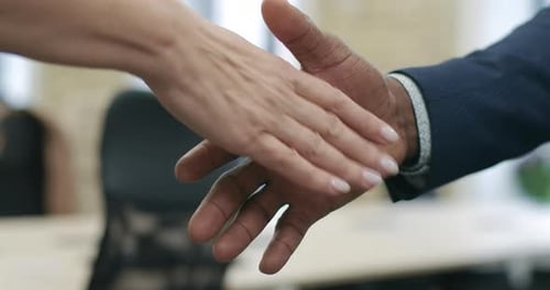 Close-up Handshake of African American Businessman and Caucasian Businesswoman. Unrecognizable