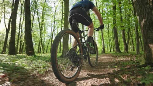 A Cyclist is Riding Through the Forest