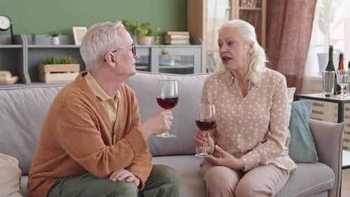 Senior Couple Enjoying Wine And Conversation Indoors
