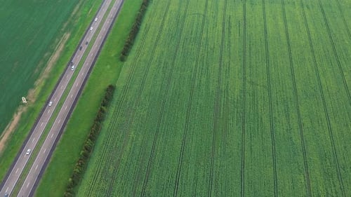 Top View of the Sown Green in Belarus