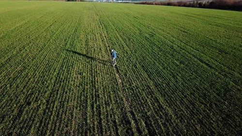 Boy is running on the green field of wheat. Happy kid running on beautiful field