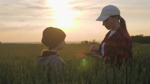 Family Farmers Work in the Field, Look at the Digital Tablet Against the Background of the Tractor