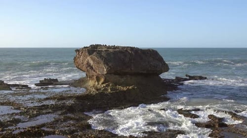 Salpicaduras de olas y gaviotas del Océano Atlántico