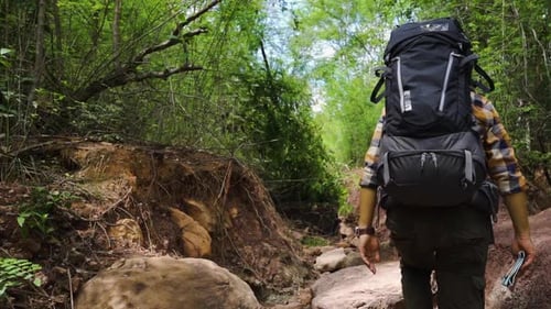 slow-motion of man traveler with backpack walking and looking in the natural forest