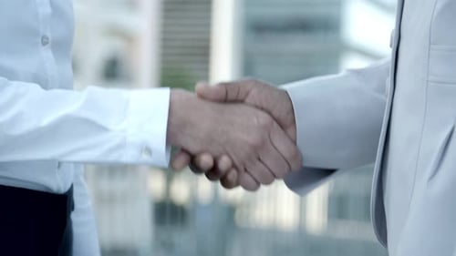 Business Handshake Between Woman and Man