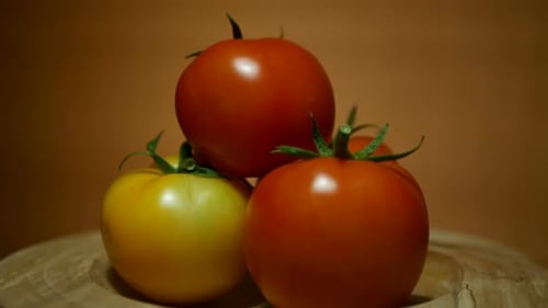 Ripe Tomatoes in Bowl Still Life