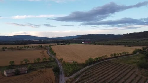 Golden Aerial View of Rural Farmland Landscape