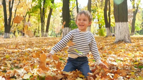 Slow Motion Video of Cheerful Little Boy Sitting on Grass at Autumn Park and Throwing Up Yellow and