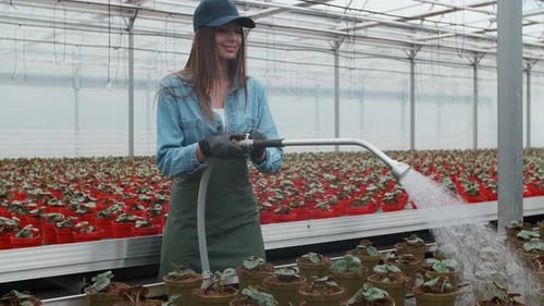 Woman Waters Potted Plants in Greenhouse