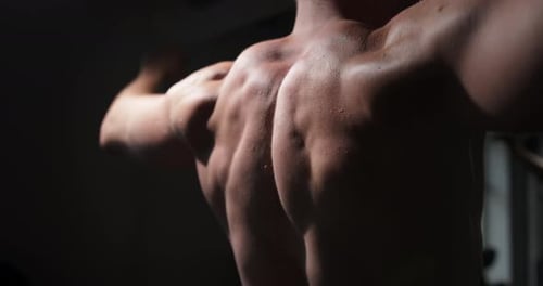 Young man in the gym straining his back muscles demonstrating the beauty of the male body