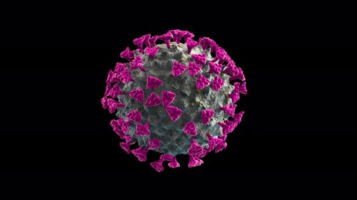3D Animation of COVID-19 Virus Particle Rotating