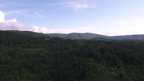 Top Of The Mountain Forest In Europe