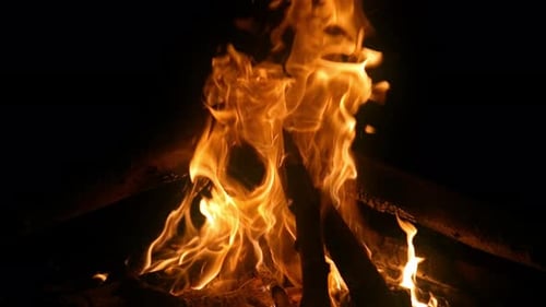 Burning Campfire in the Darkness of Night