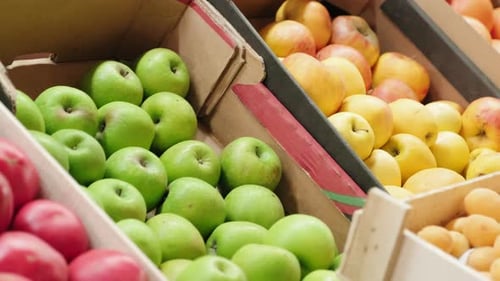 Variety of Colorful Fruit and Vegetables in Boxes