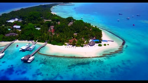 Aerial top down abstract of idyllic seashore beach wildlife by transparent ocean with white sandy ba