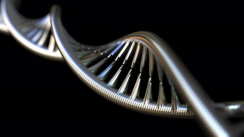 Rotating Metallic DNA Model