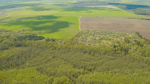 Aerial View Of Forest Village And Country Field Skyline In Spring Sunny Day