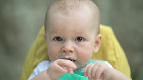Baby Eating Food in a High Chair