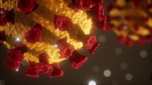 Coronavirus COVID-19 Medical Model