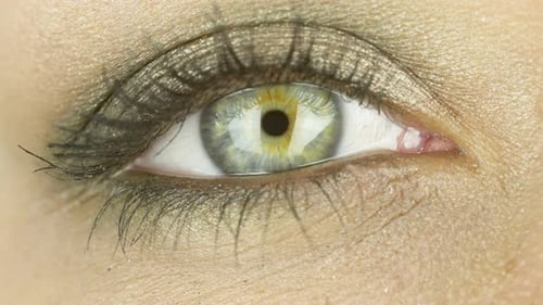 One Expressive Eye with Makeup. Caucasian Woman Looking at Camera. Close-up