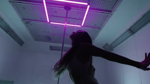 Polédance sensuelle