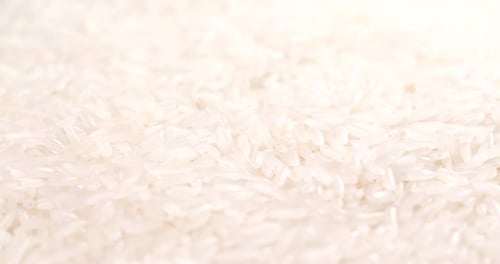 Close Up of White Rice Grains