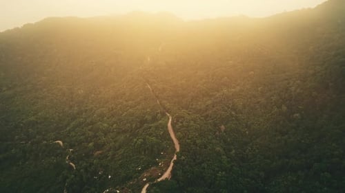 Aerial Bright Sun Shines on Jungle Road