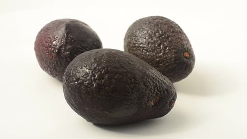 Avocado 16