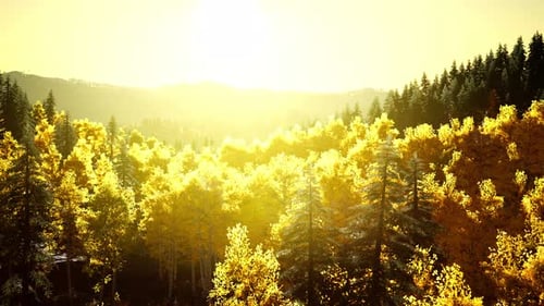 Coucher de soleil radieux dans les montagnes