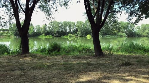 Spazieren Sie durch den Wald am Flussufer