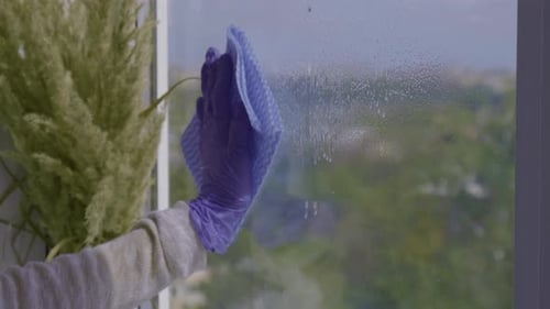 Cleaning the Window