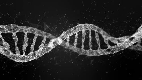 Animated DNA Double Helix Structure with Abstract Plexus Network