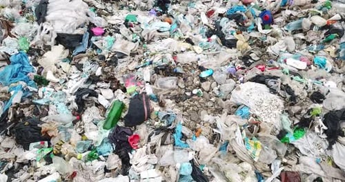 Kontaminierter Plastikmüll an der Sandküste ist ein Umweltproblem