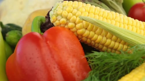 Fresh Vegetables Displaying Colorful Harvest Bounty