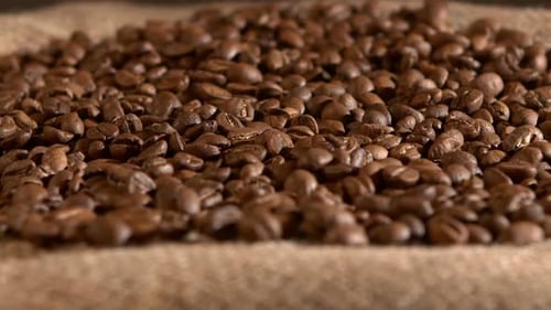 Close Up of Roasted Coffee Beans on Burlap