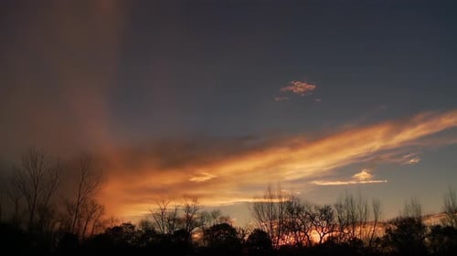 Forest at Sunset, Time Lapse. 4K Version.