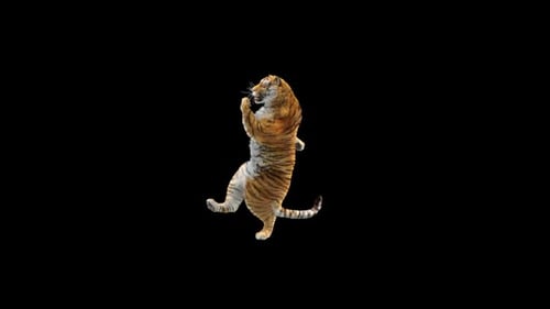 Tiger-Tanz HD