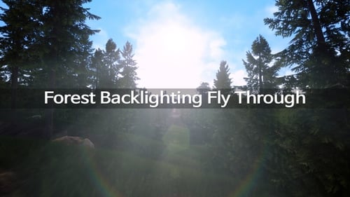 Forest Backlighting Fly Through