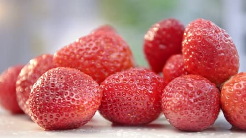 Heap of Organic Fresh Juicy Strawberry with Water Drops Closeup