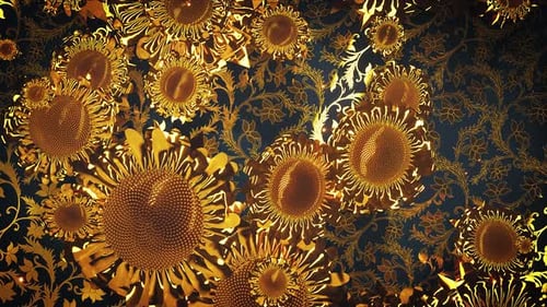 Fondo de girasoles de brillo dorado 4k