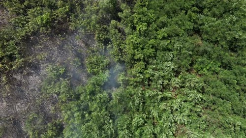 Bush Fire from Above 38