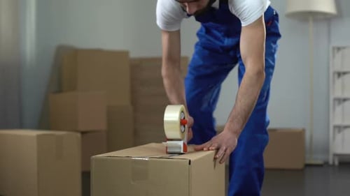 Moving Company Worker Carefully Packing and Carrying Boxes, Quality Services